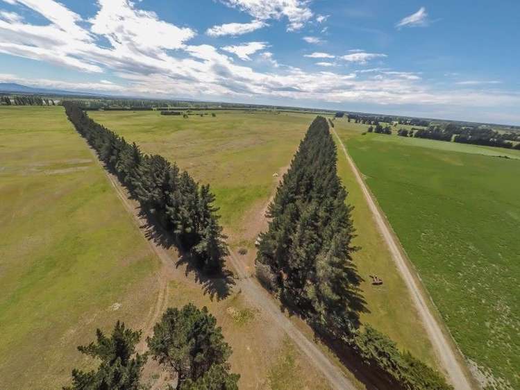 130 Mcleans Island Road Harewood_31