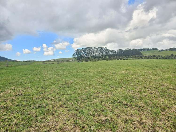 Lot Lot 5 Dodd Road Maungaturoto_9