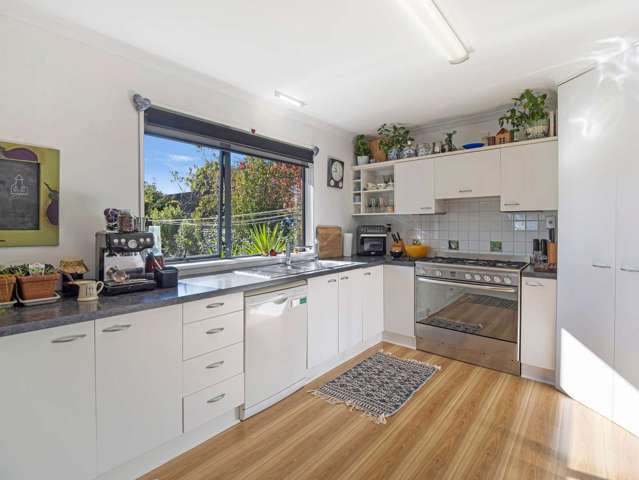 83 West Town Belt Rakaia_1