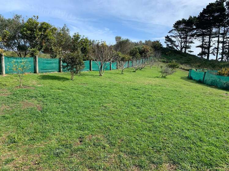 420A Phillips Road Raglan_7