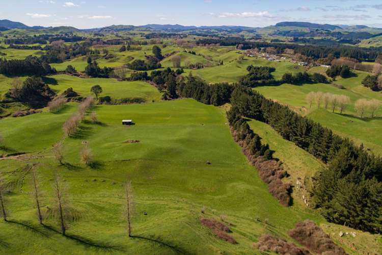 145 Totara Road Ngakuru_21
