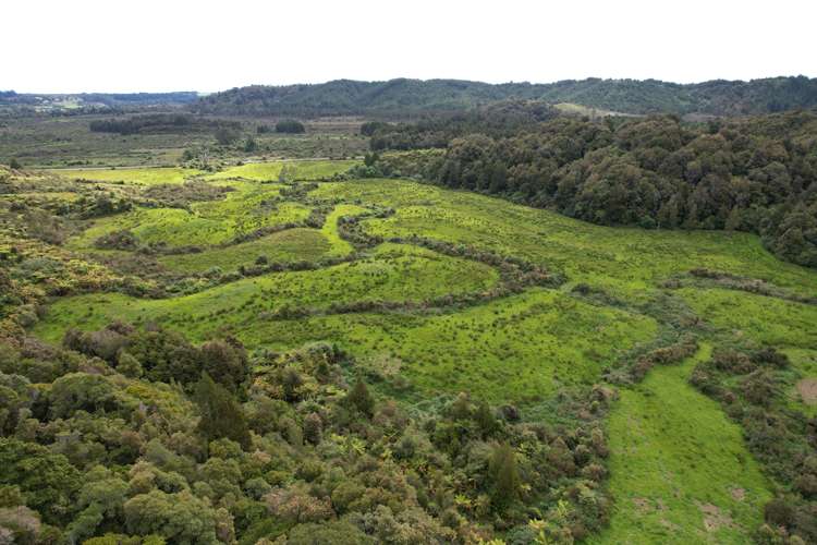 Marsden Road Greymouth_6