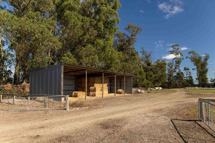 1329 Wards Road Darfield_15