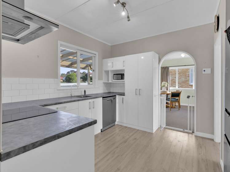 163 Studholme Street Morrinsville_6