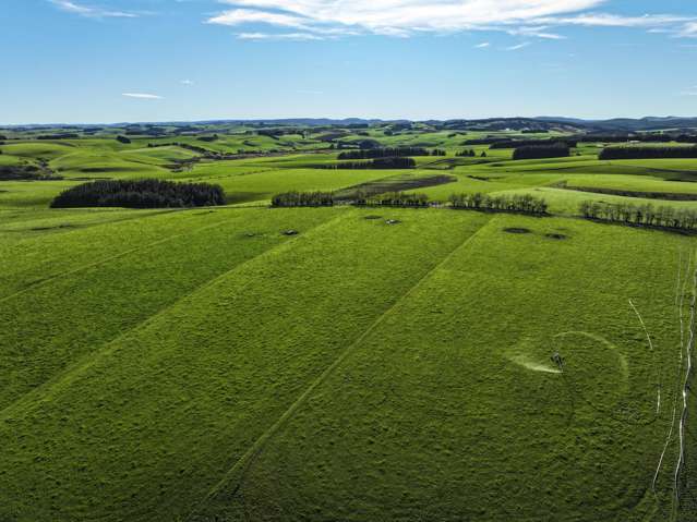 539. Mataura Island Fortrose Road Pine Bush_3
