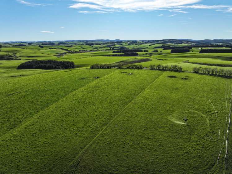 539. Mataura Island Fortrose Road Pine Bush_3