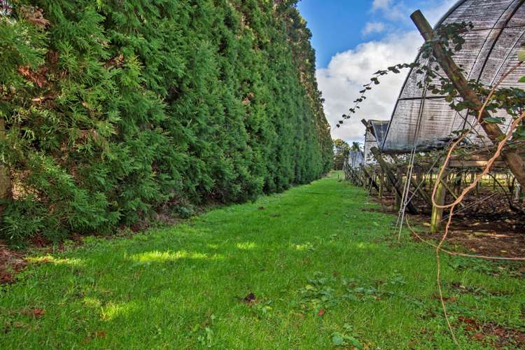 48 Austin Road Maunu_11