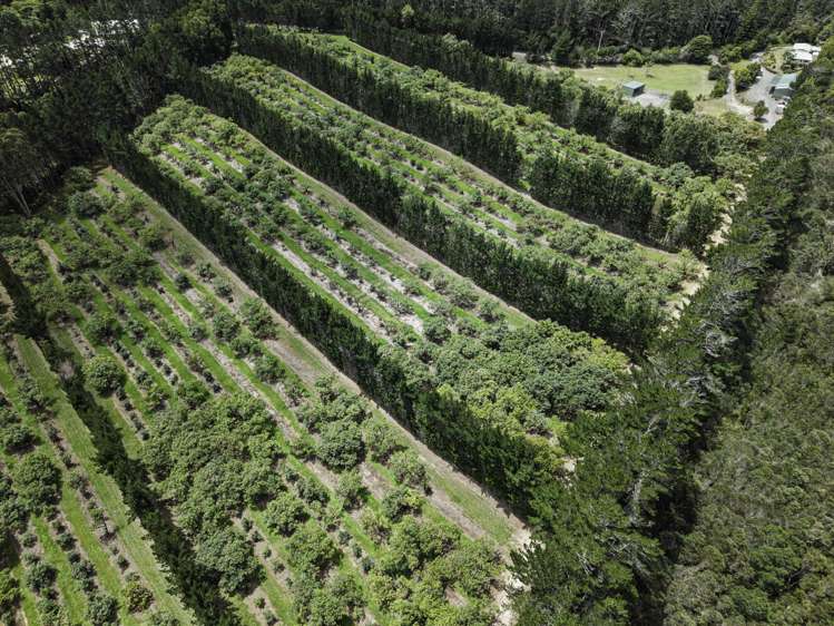 377 Paparore Road Kaitaia_36