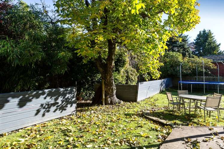 2 Allen Road Green Island_21