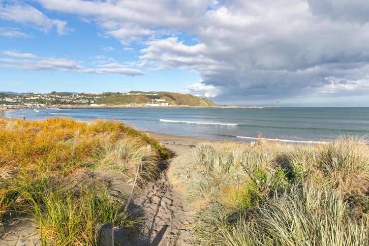 1 Palm Avenue Lyall Bay_24