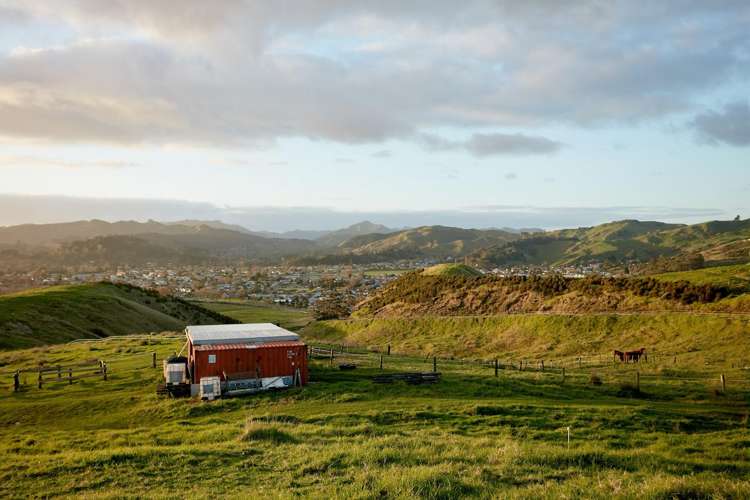 611 Wainui Road_5