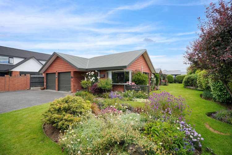 188 Ward Street Hargest_24