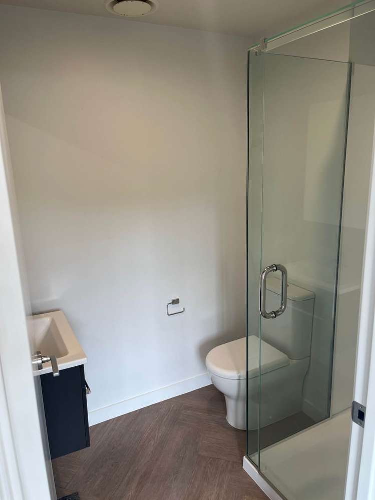 Jellicoe Road Panmure_10