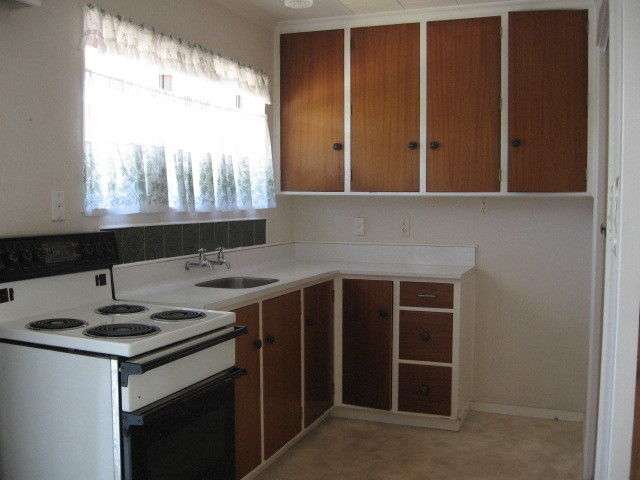 2/4 Willow Avenue Stoke_3