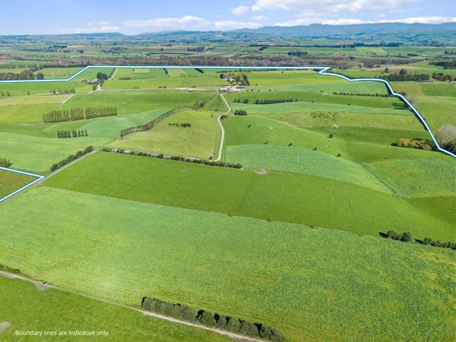 243 Matthew Road Temuka_2