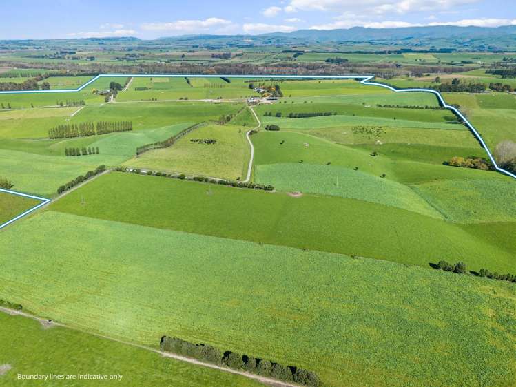 243 Matthew Road Temuka_2