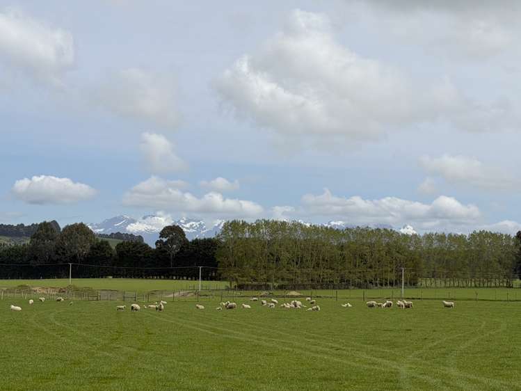 1148 Blackmount Redcliff Road Te Anau_2