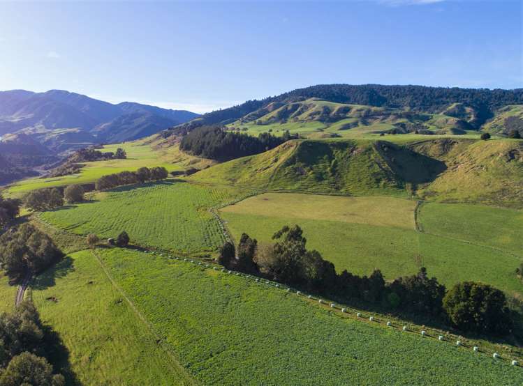 2/230 Clyde Road Burnside_0