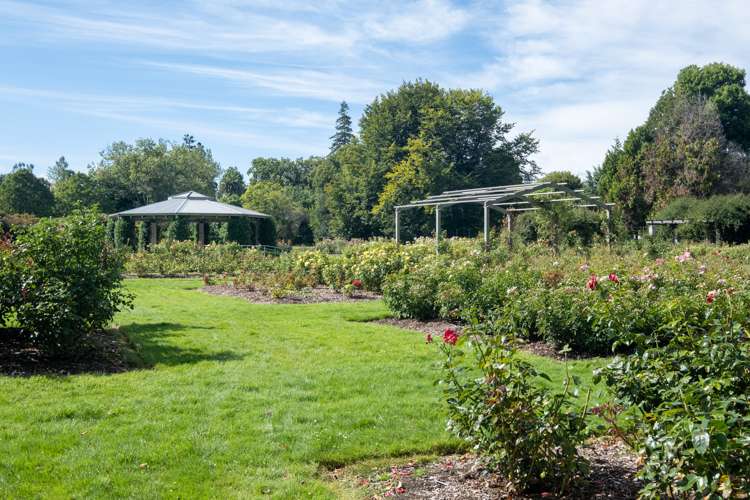 517 Nottingley Road Frimley_15