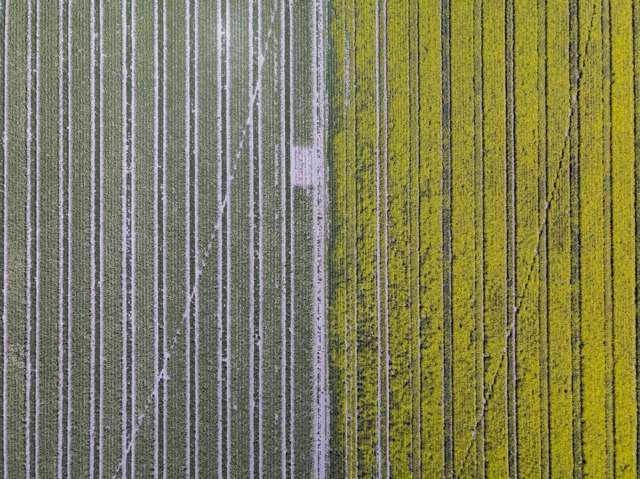 337 Reynolds Road Methven_3