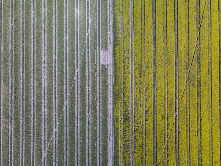 337 Reynolds Road Methven_3