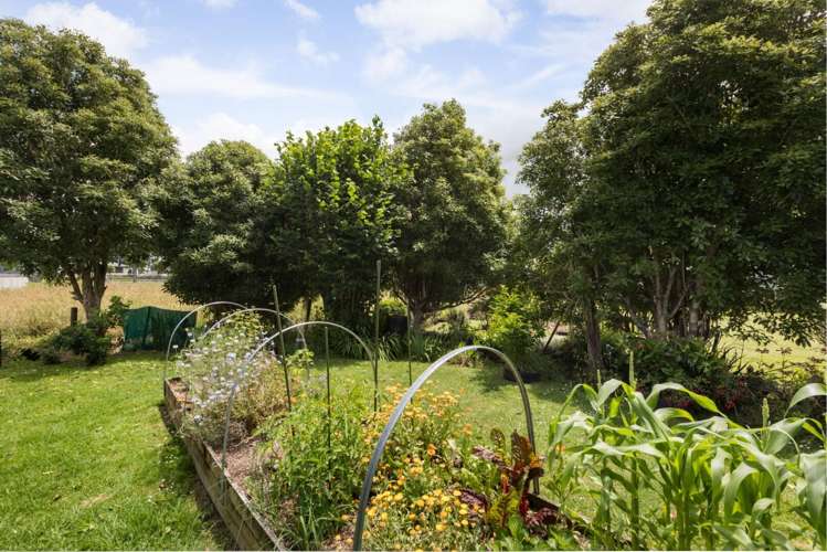 3 Adams Street Waihi_23