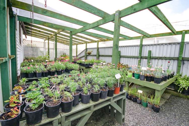 13 Jellicoe Road Manurewa_23