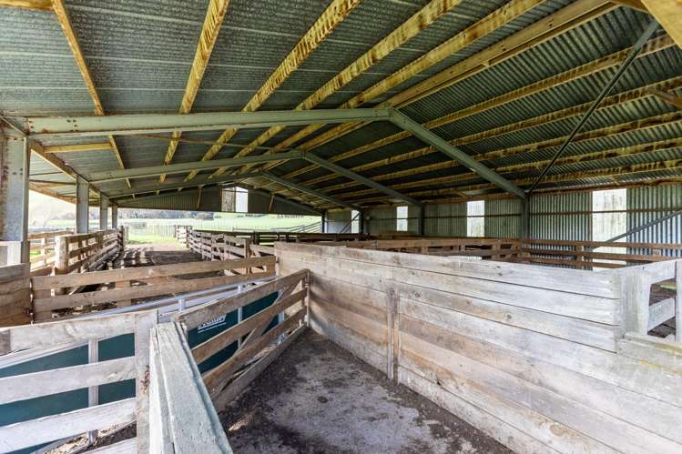 558 Pukeatua Road Dannevirke_10