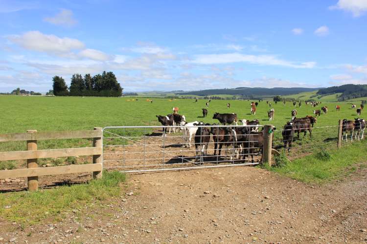 82 Pike Road Winton Surrounds_9