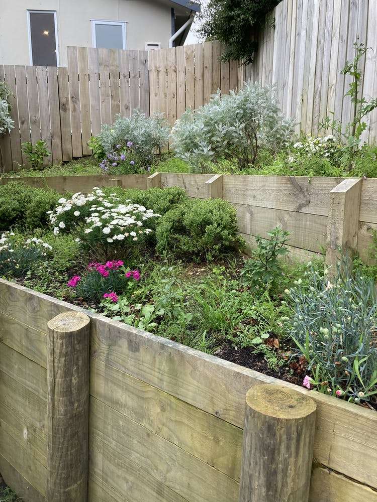 22a Glenside Road Glenside_15