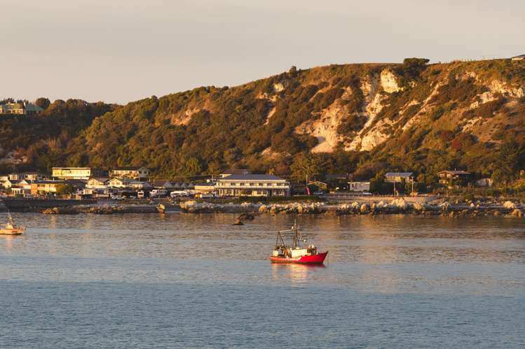 134 Esplanade Kaikoura_35