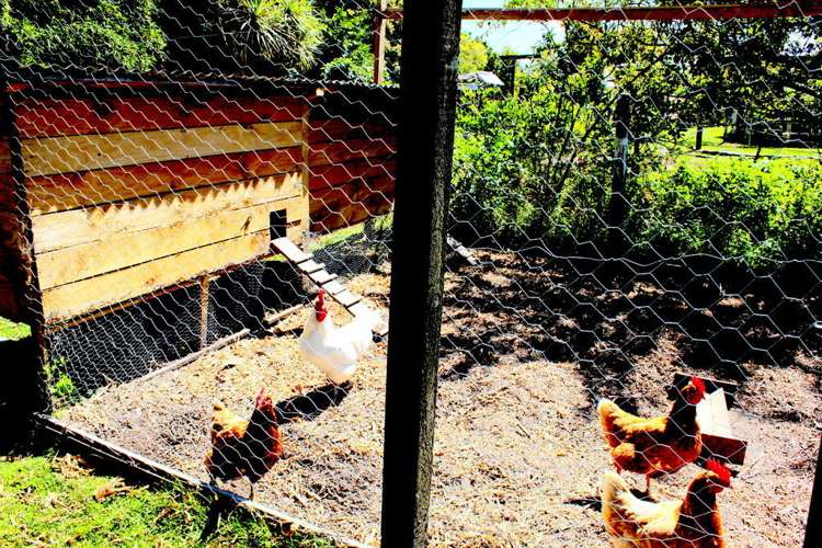 25 Dodds Road Kaitaia_9