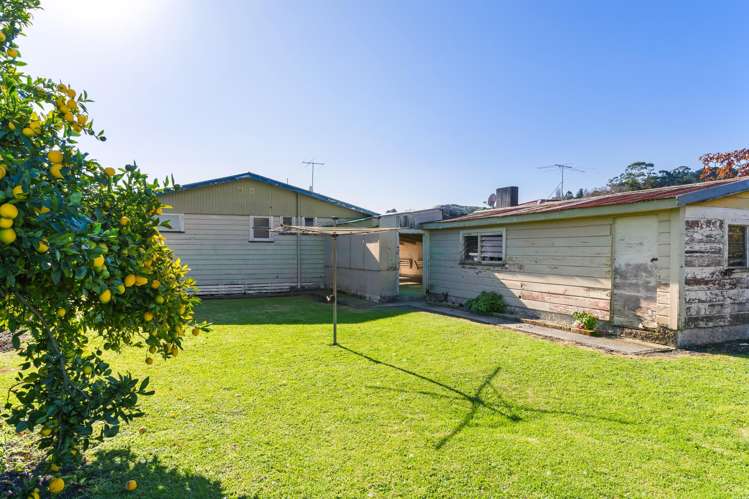 48 Dalton Street Outer Kaiti_17