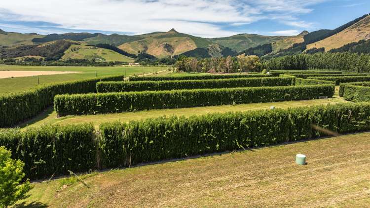 40 Rhodes Road Tai Tapu_15