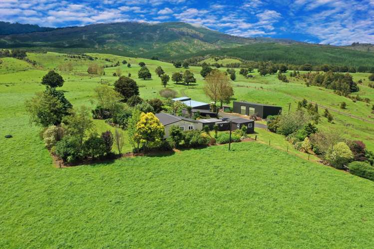 285 Kaihu Wood Road Dargaville Surrounds_3