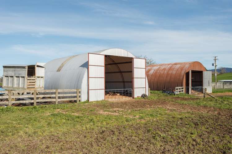 1 Gunn Road Matamata_11