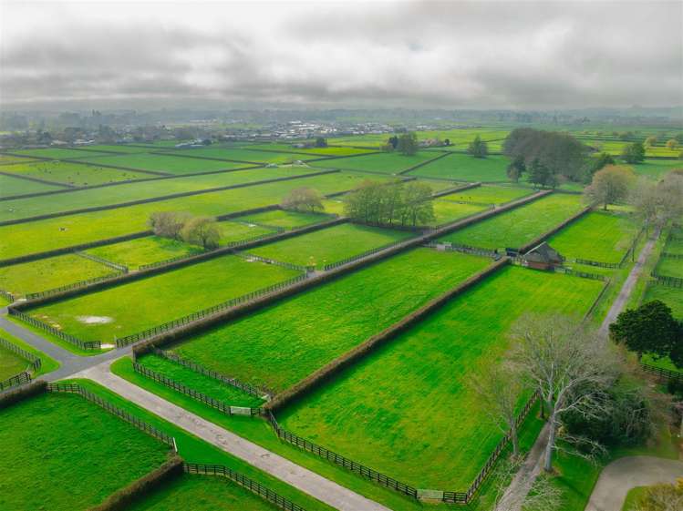 122 Rotoorangi Road Cambridge_7