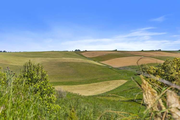 515 Doake Road Timaru_26