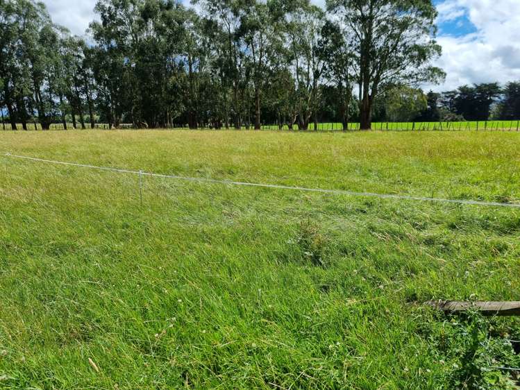 37 Tutaekara Road Pahiatua_12