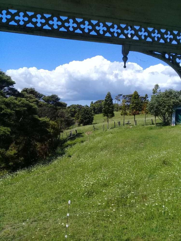 299 Kiwitahi Road Helensville_15