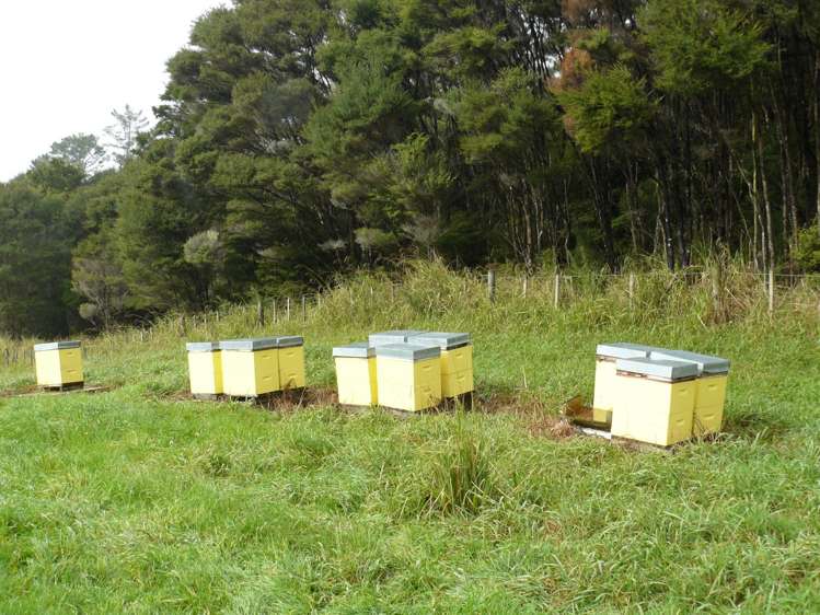 1907 Diggers Valley Road Kaitaia_19