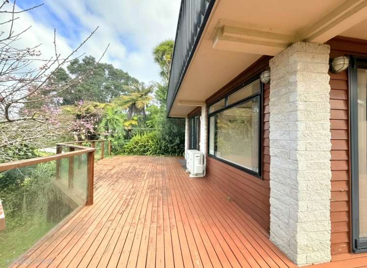 41B Layton Road Manly_10