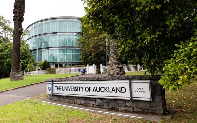 16c/363 Queen Street Auckland Central_12