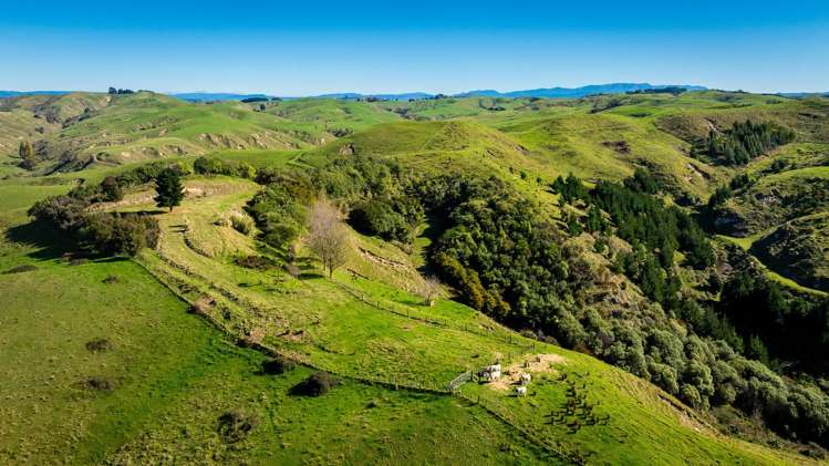 863 Puketitiri Road Puketapu_22