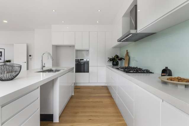 148a Nile Road Milford_3