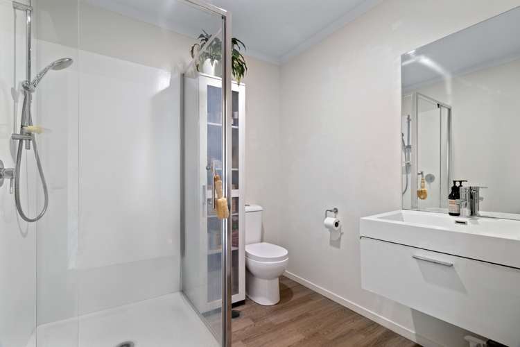 3/215 Massey Street Frankton_11