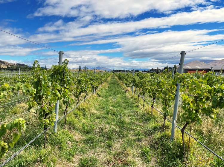 90 Willowbank Road Queensberry_20