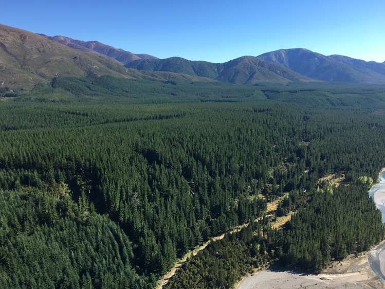 State Highway 63 Renwick_6