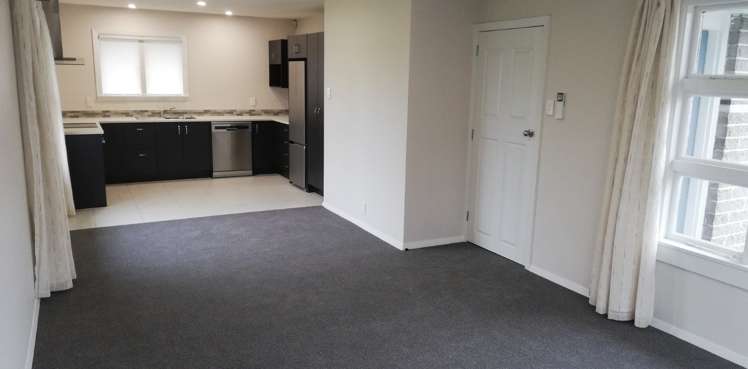 23 Greenhurst Street Sockburn_2