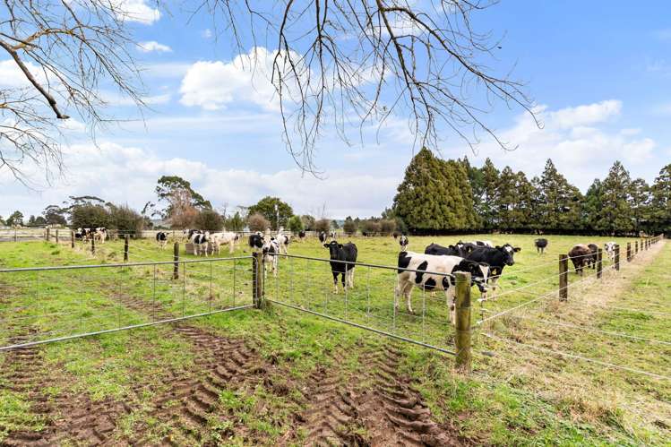 180 Andrews Road Onewhero_31
